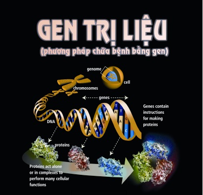 Gen trị liệu: phương pháp chữa bệnh bằng Gen